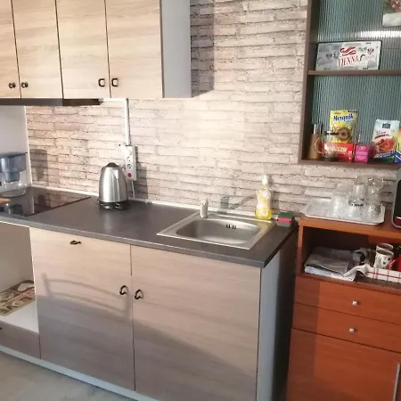 38 Silviu Apartment Bukarest