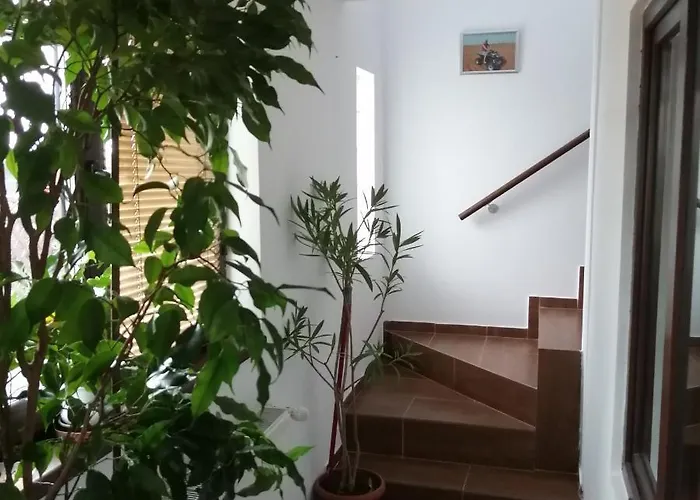 Apartamento 38 Silviu *