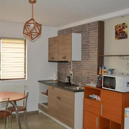 38 Silviu Apartment *