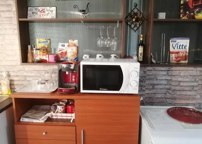 38 Silviu Apartment *