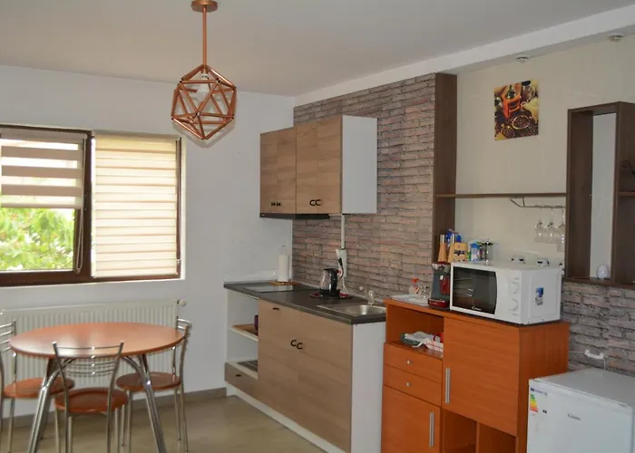 38 Silviu Apartament *